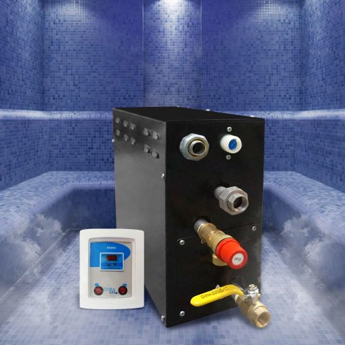 Generador de vapor eléctrico con Tablero Digital 6kw