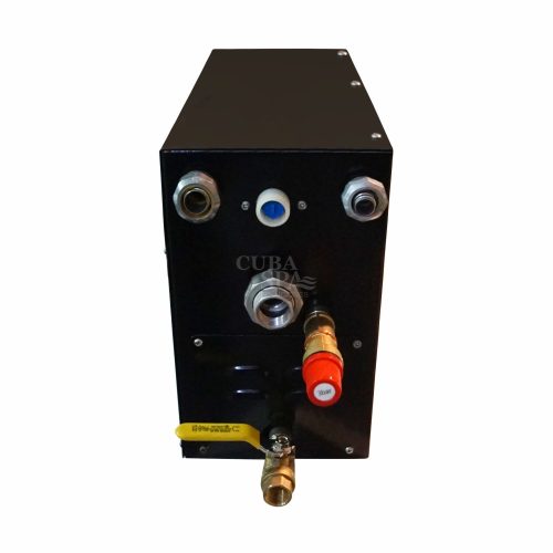 Generador de vapor eléctrico con Tablero Digital 9kw