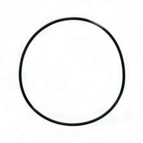 ORING-DE-BASE-DE-VALVULA-MULTIPORT-AQUANT-1