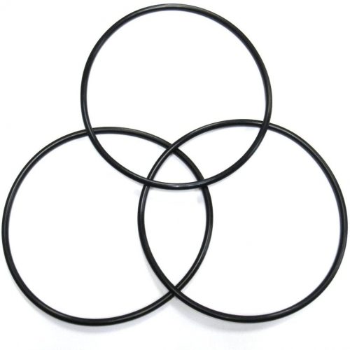 ORING PARA TAPA DE FILTRO DE CARTUCHO 25FT (R172502J) RAIMBOW