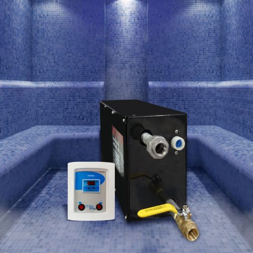 Generador de vapor eléctrico con Tablero Digital 4kw